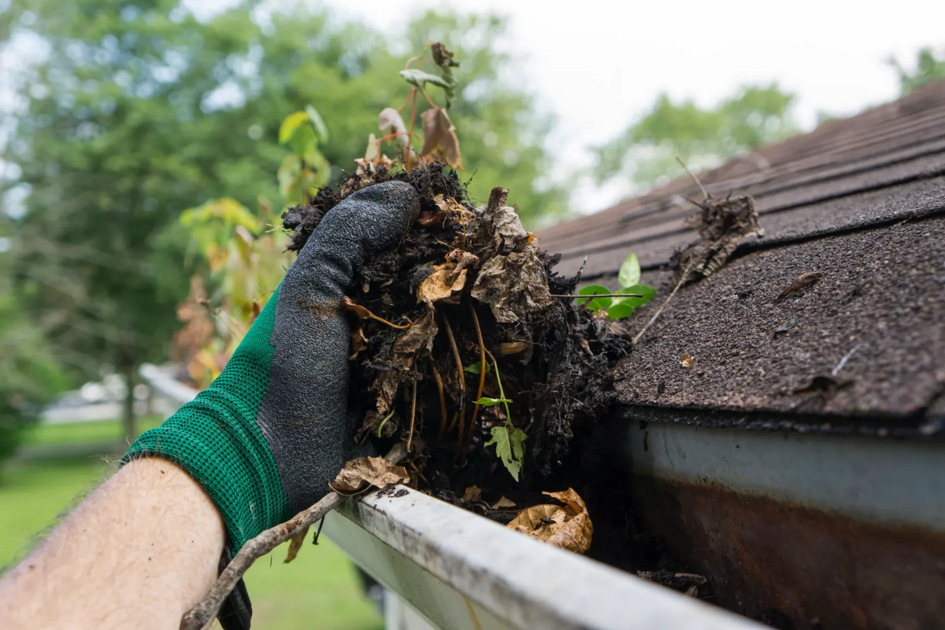 Moss Boss of Santa Rosa LLC gutter cleaning photo